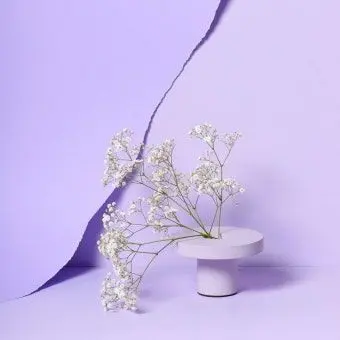Profile image of 황수현