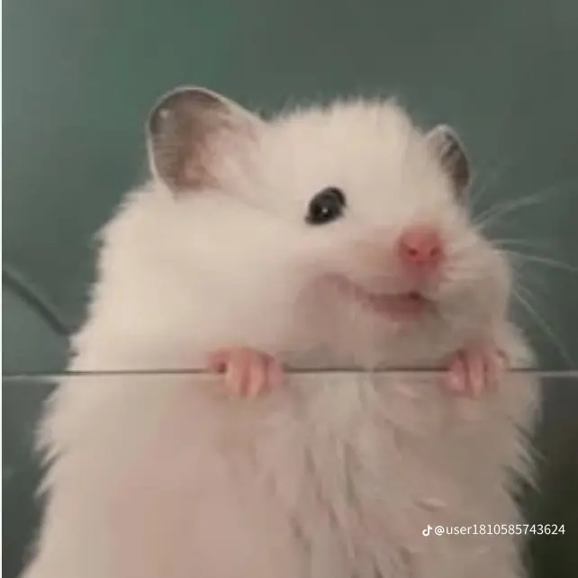 FoulVideo2592의 한지성