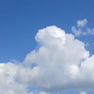 Profile image of 우유참치