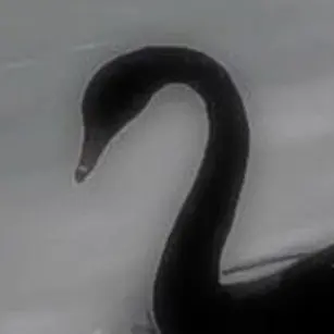 Profile image of 유저