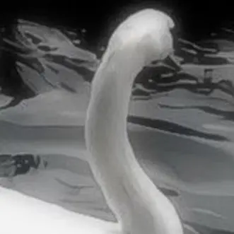 CTN의 살자해보자