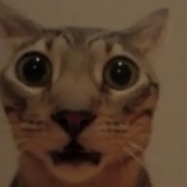 Profile image of Rodger