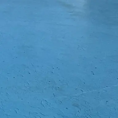 Profile image of 뱍셩호