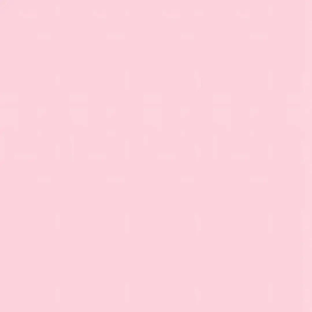 SpongyTray9535의 안건호