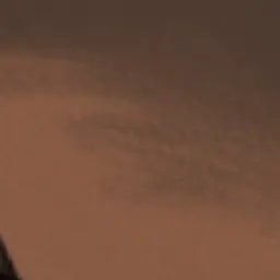 Profile image of 릴리 에반스