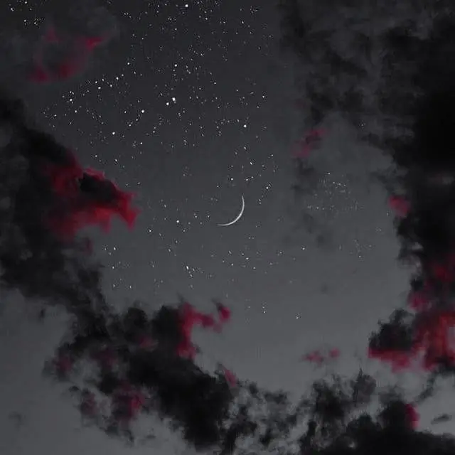 FeebleBloom6857의 '블랙로즈' 조직 2팀 조직원들 무리