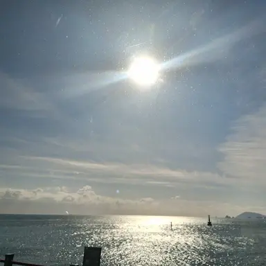 Profile image of 김여우