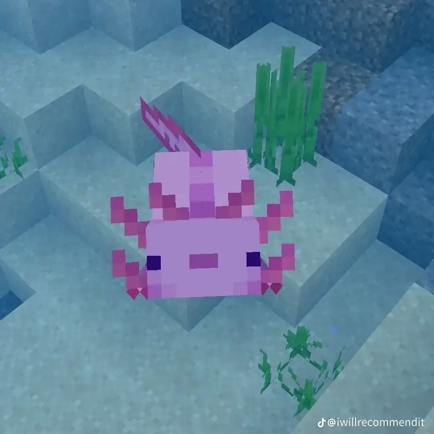 AgedStep2391의 ㄱㄷㅎ