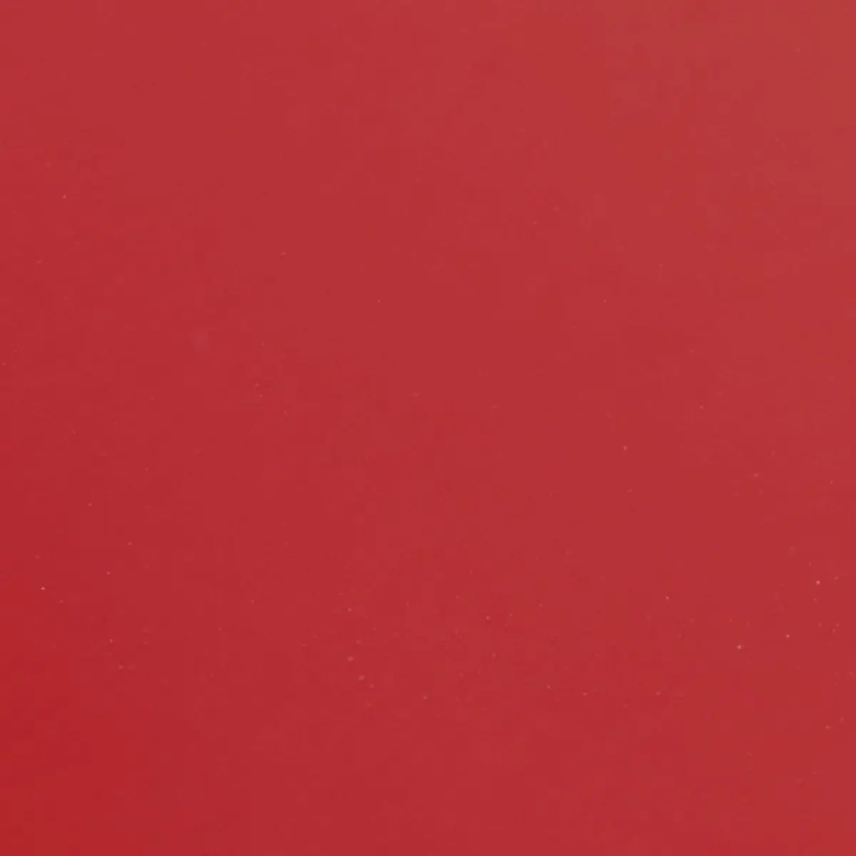 cha_wex의 양정인