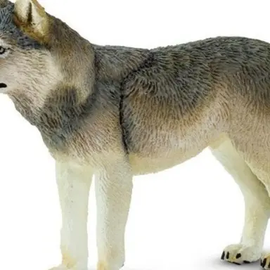 Profile image of 늑대
