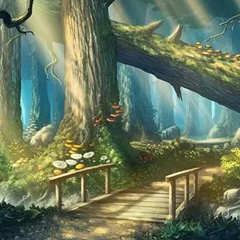 Profile image of 魔法の森