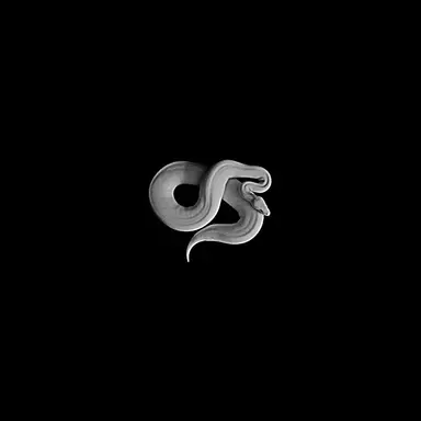 Profile image of 한강유