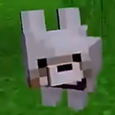 Profile image of Debo