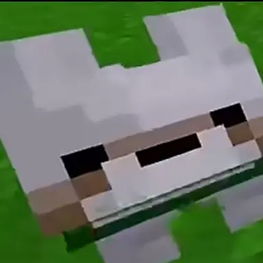 Profile image of Var