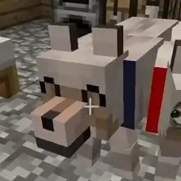 Profile image of Tom