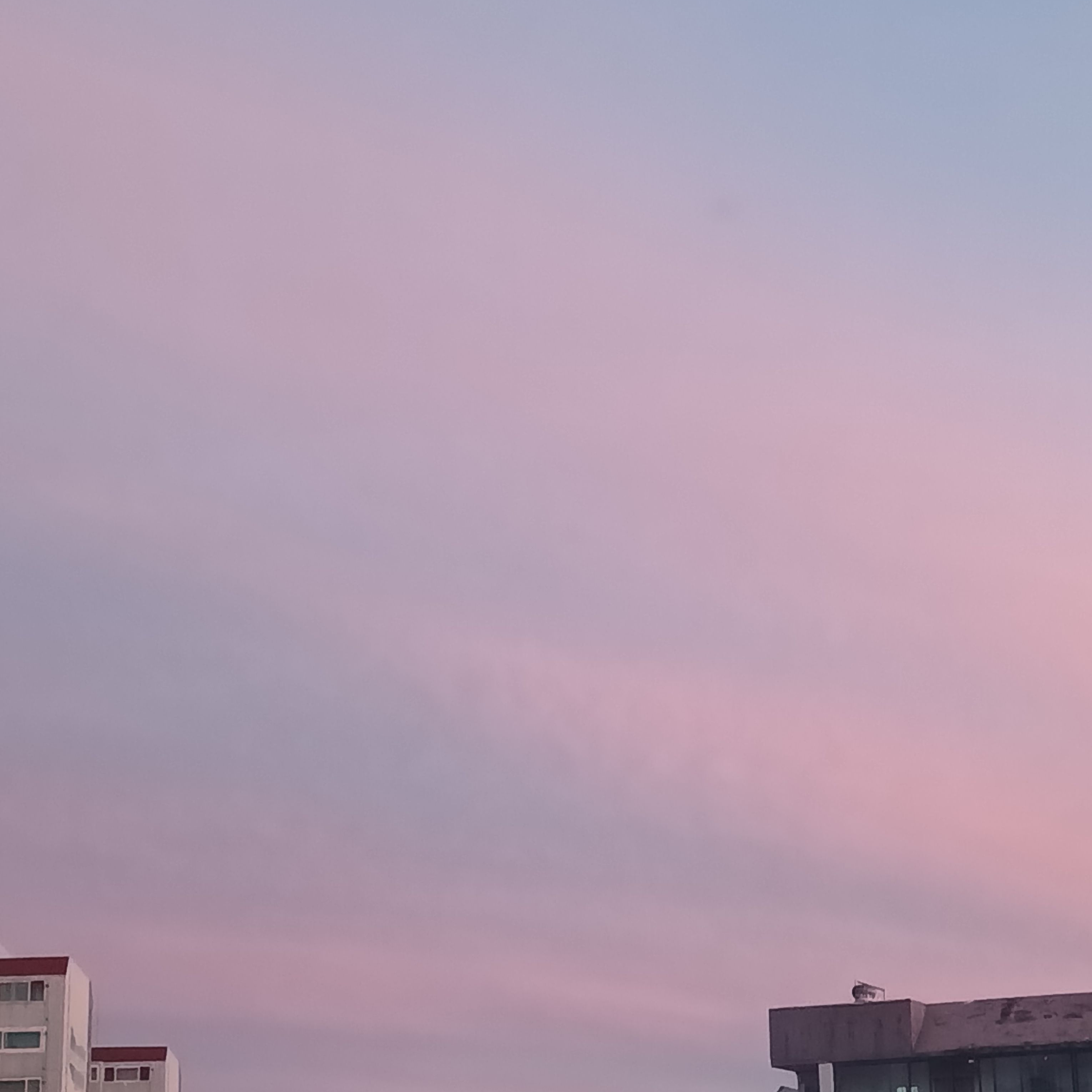 참교육 대표 이미지