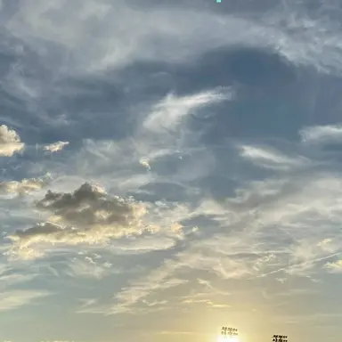 Profile image of 北欧ちゃま