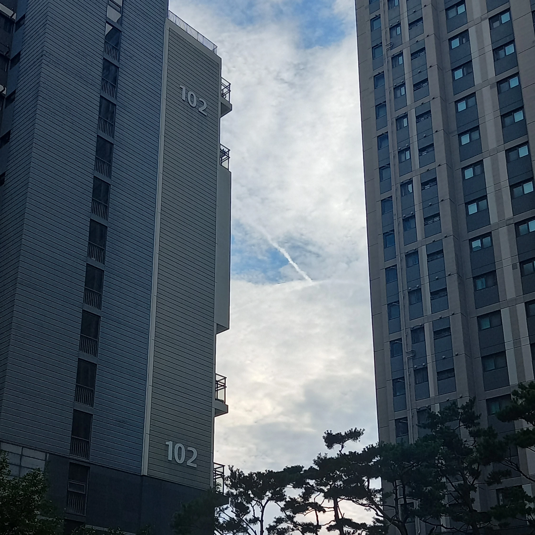 노우성