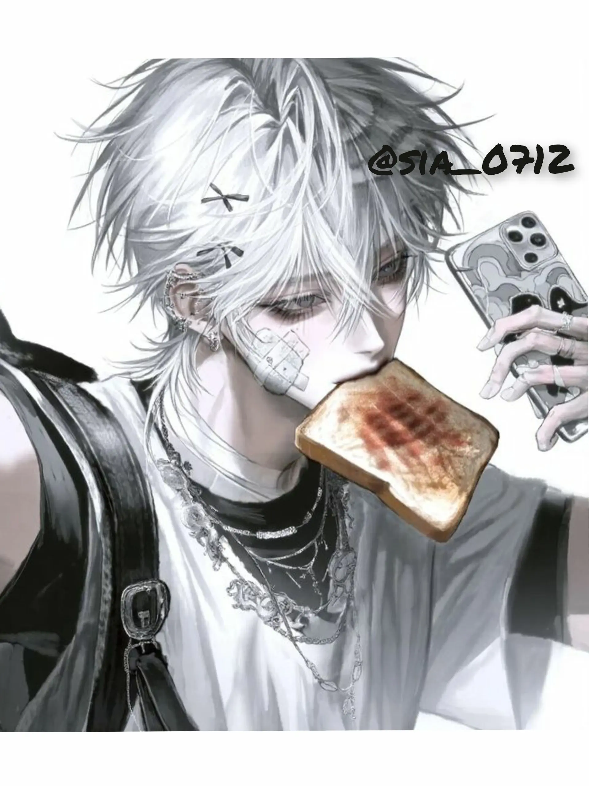 Sia_0712의 백도진