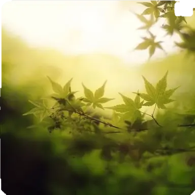 Profile image of 당신