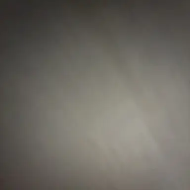 Profile image of ㅁㅈㅎ