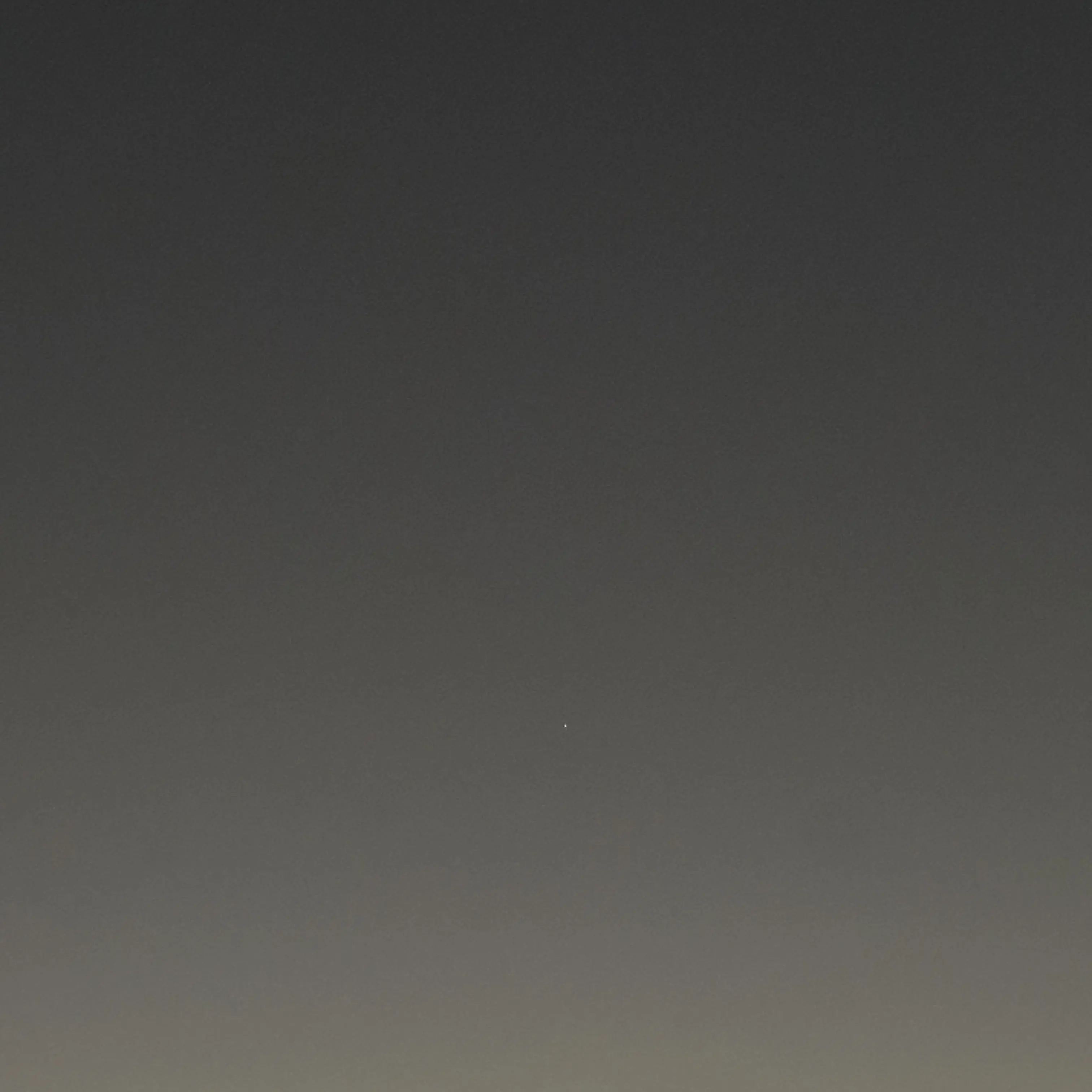 PaleBus9959의 이채영