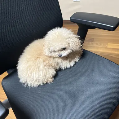 Profile image of 성요한
