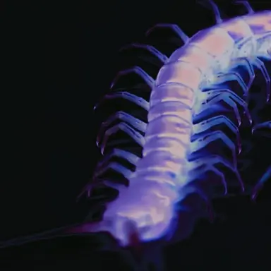 Profile image of 크리스