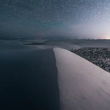 Profile image of 어기 폴먼