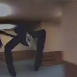 Profile image of 레그