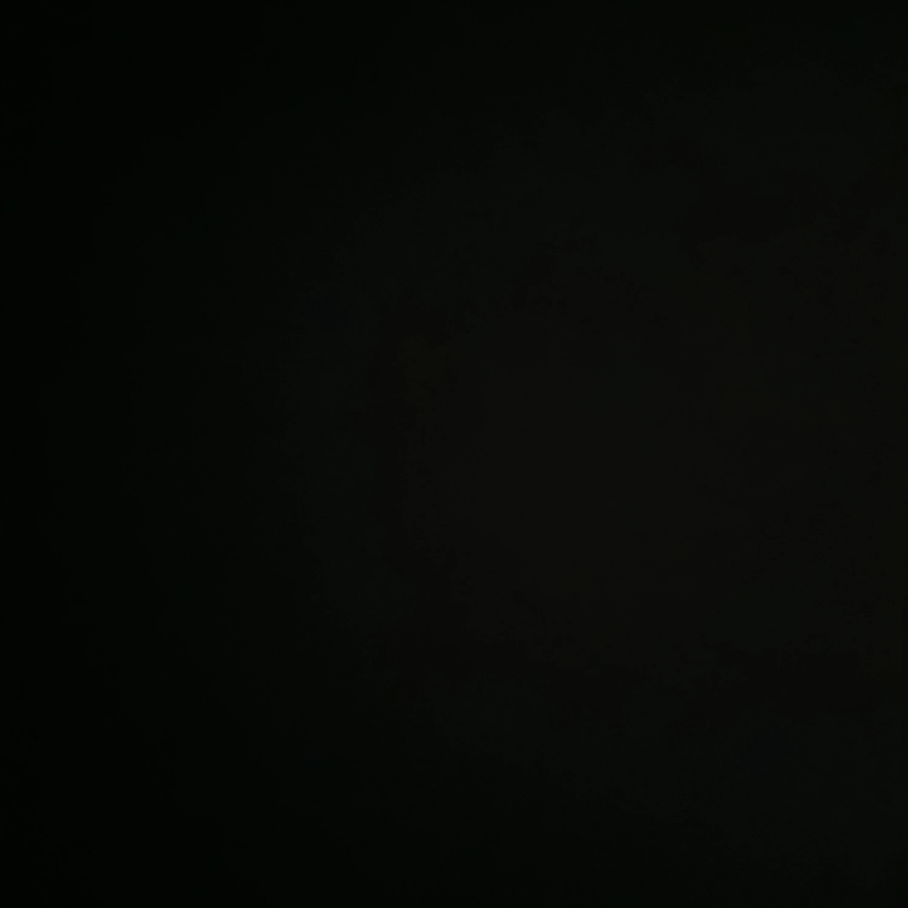 별의여신