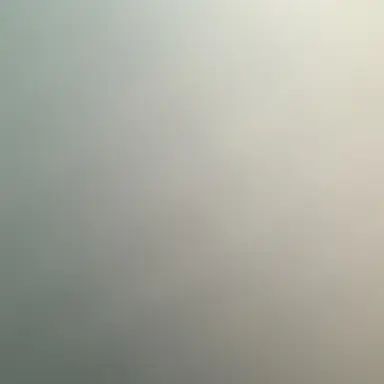 Profile image of 지토