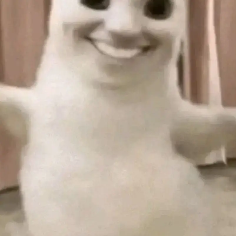 beraspoon의 헬로에브리원~~~