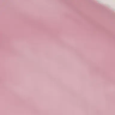 Profile image of 덕개