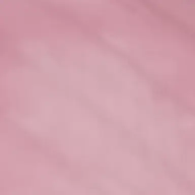 Profile image of 수현