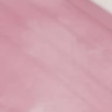 Profile image of 라더