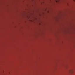 Profile image of 베네스터 데발트