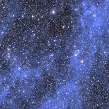 Profile image of 마닐렌 타브니아
