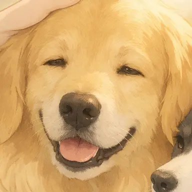 Profile image of Rudy