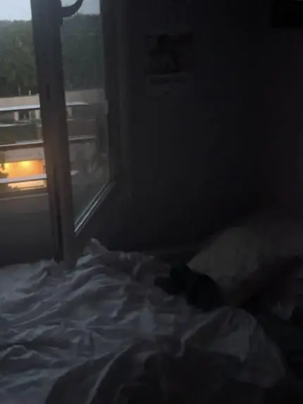 ly.zzzz의 夢の中で