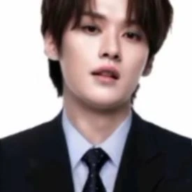 이리노(조직)