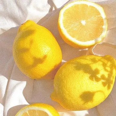 Profile image of 한노아