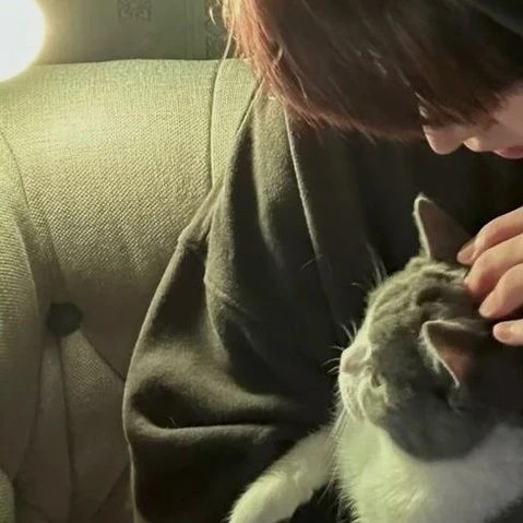 이도민
