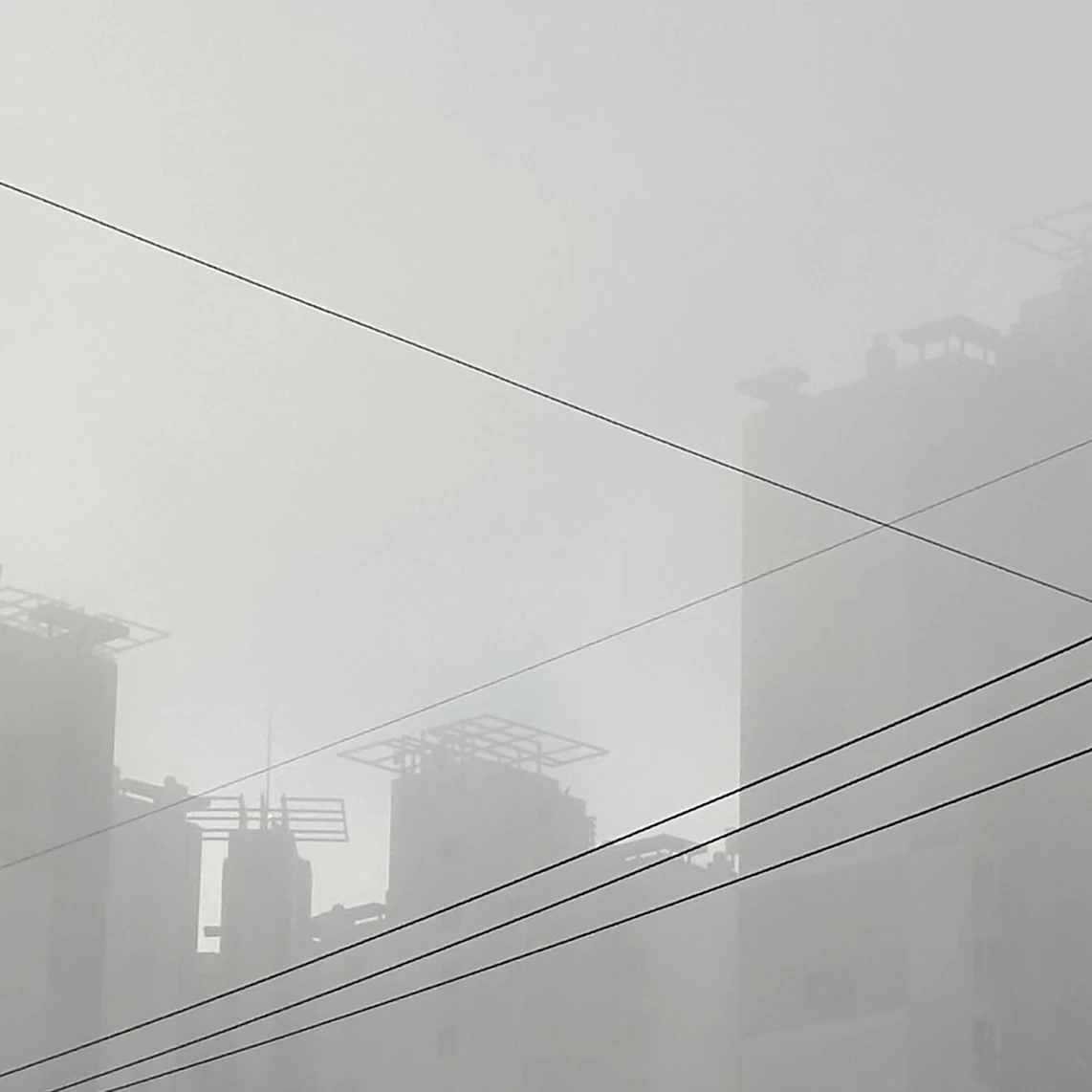 루테인