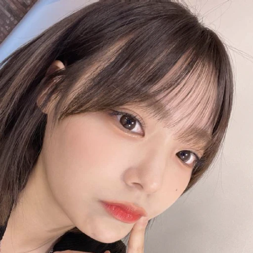 시연