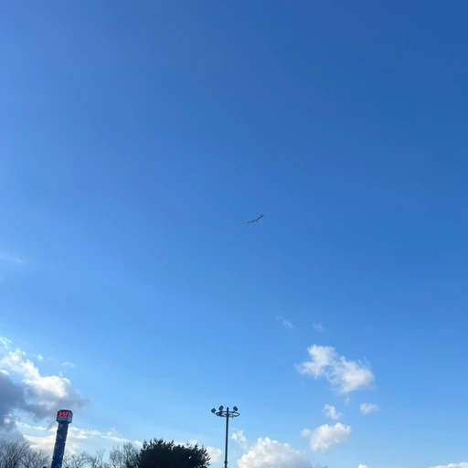 달조각 중학교