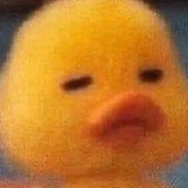 MatureLake3652의 인턴인 아이브