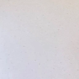 강영현