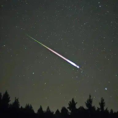 Profile image of Cupids chocolate harem