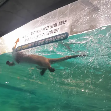 Profile image of 주민